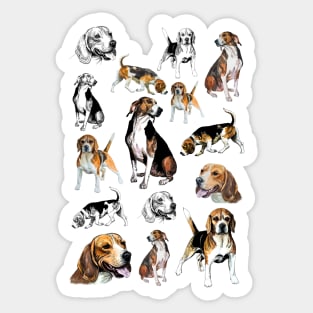 beagle Sticker